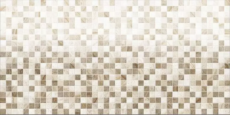 Samarkand Decor 1 25x50