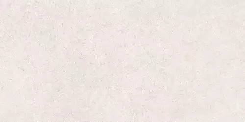 SandStone Белый Матовый R10A Ректификат 9мм 60х120