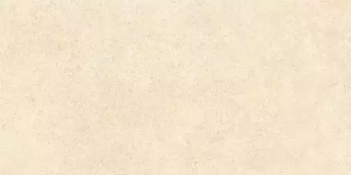 SandStone Песочный Матовый R10A Ректификат 9мм 60х120