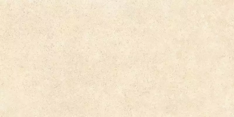 SandStone Песочный Матовый R10A Ректификат 9мм 60х120