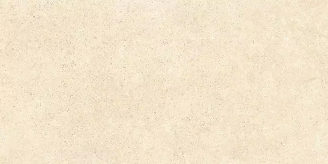 SandStone Песочный Матовый R10A Ректификат 9мм 60х120