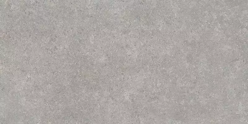 SandStone Серый Матовый R10A Ректификат 9мм 60х120