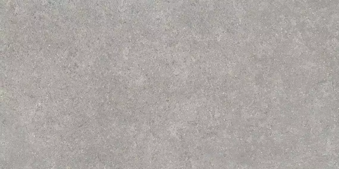 SandStone Серый Матовый R10A Ректификат 9мм 60х120