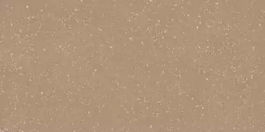 Sassy Terracota Rec 60x120