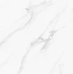 Satuario Platina Polished 60x60