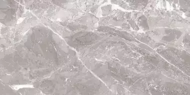 Savage Grey полированный 60x120