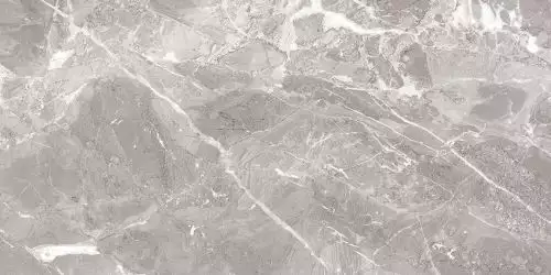 Savage Grey полированный 60x120