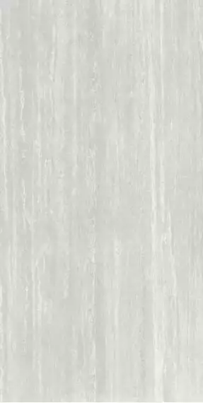 Savona Grigio Pulido 120x240