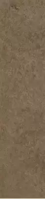 Scs Spectra Cumin 5,8х25
