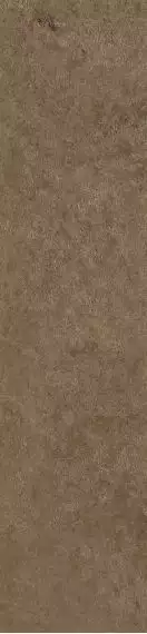 Scs Spectra Cumin 5,8х25