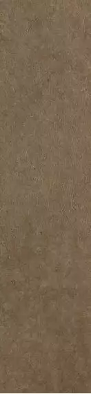 Scs Spectra Cumin Glossy 5,8х25