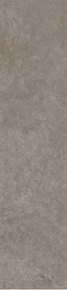 Scs Spectra Moshroom 5,8х25