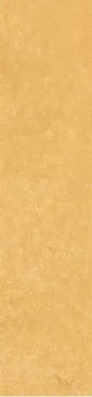 Scs Spectra Mustard 5,8х25