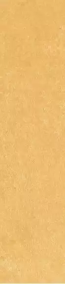 Scs Spectra Mustard Glossy 5,8х25