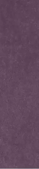 Scs Spectra Wine Glossy 5,8х25