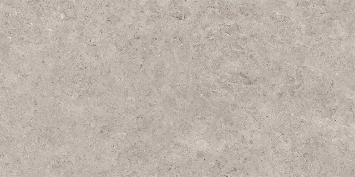 Seashell Natural R10 Carving 60x120