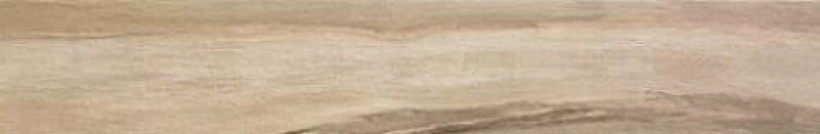 Seasons Spring 15x60.8