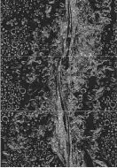 Set Flow (панно из 3-х плиток) 60x90