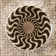 Shape Cream 20x20