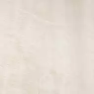 Shellstone 3 59.8x59.8