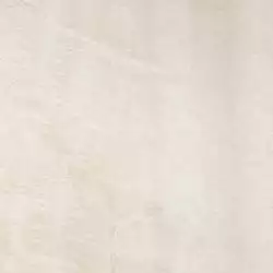 Shellstone 3 59.8x59.8