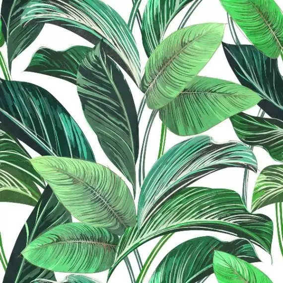 Showall White Leaf (set 2 pz) 120x120