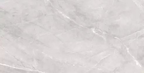 Silk Armani Silver Matt 60x120