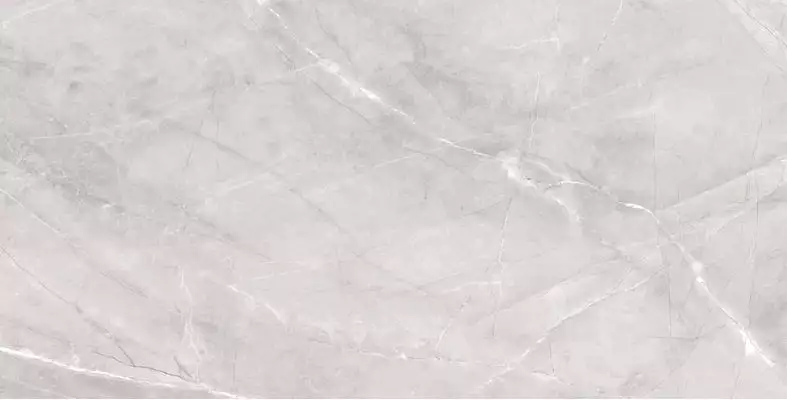 Silk Armani Silver Matt 60x120