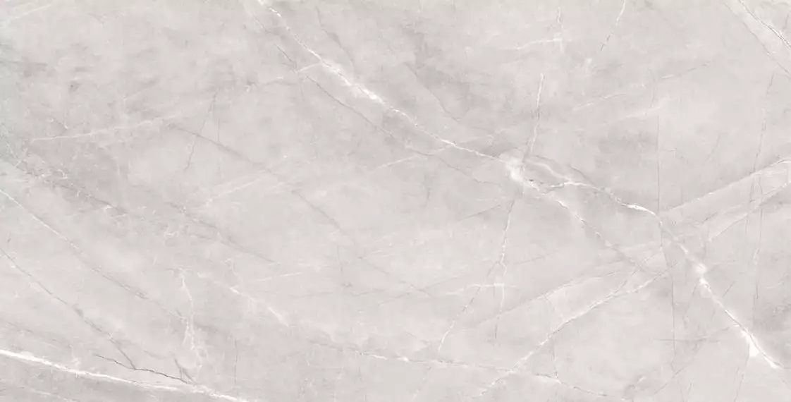 Silk Armani Silver Matt 60x120