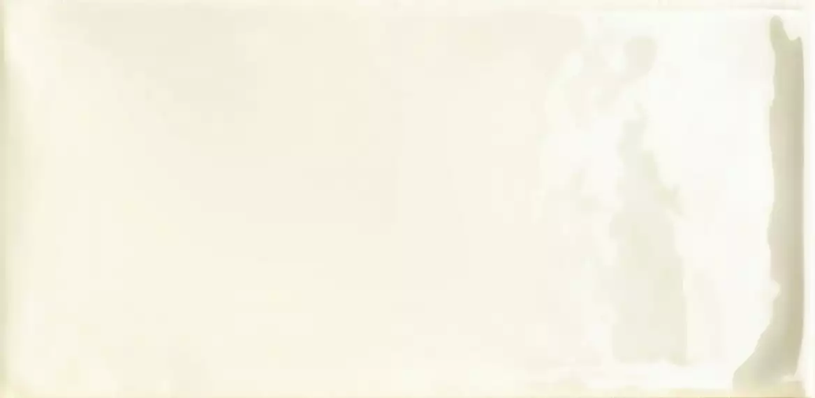 Silk Tavella Pergamena 7.5x15