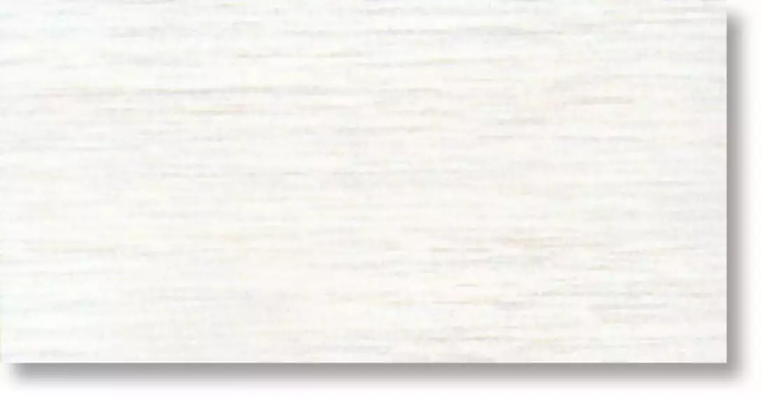 Silk White  Ret  30x60