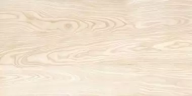 Silken Wood Matt 60x120