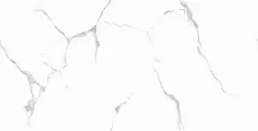 Silver White PGVT 60x120