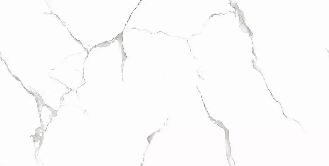 Silver White PGVT 60x120
