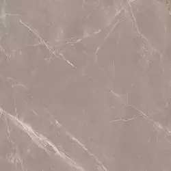 Slabs Prestige Dove High Glossy 120х120