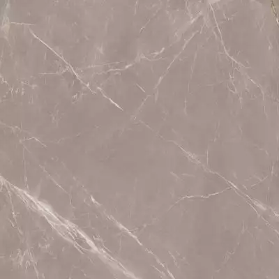 Slabs Prestige Dove High Glossy 120х120