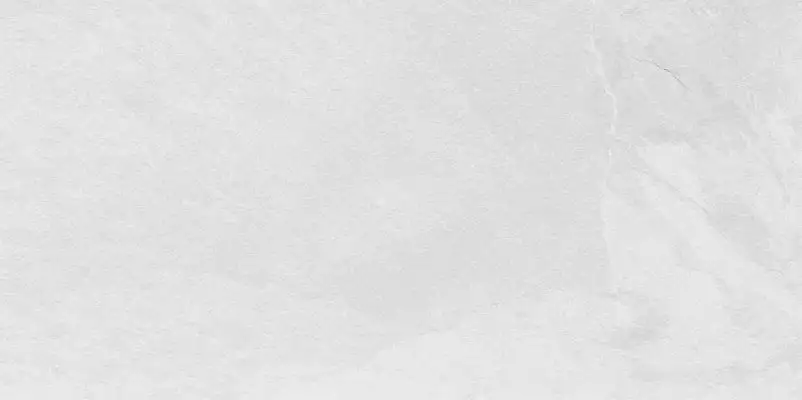 Slate Bianco Matt 60x120