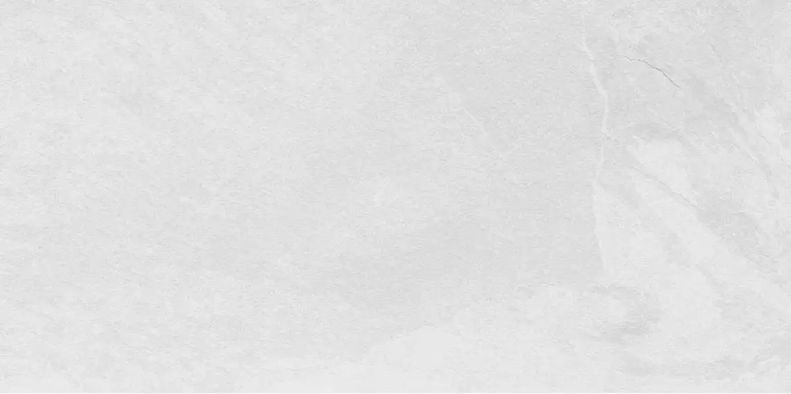 Slate Bianco Matt 60x120