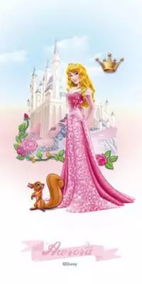 Sleeping Beauty 30*60