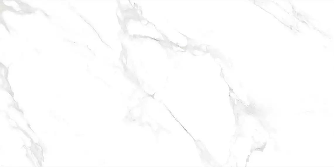 Smoke White Polished 60х120