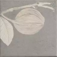 Soft Kamelia Grey 15x15
