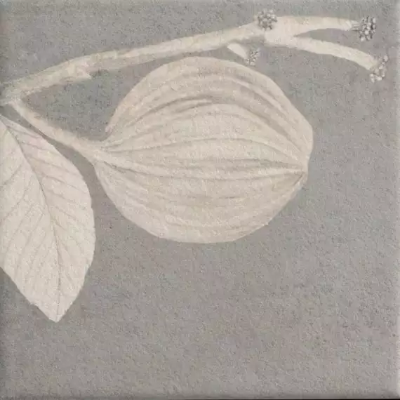 Soft Kamelia Grey 15x15
