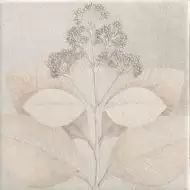 Soft Kamelia White 15x15