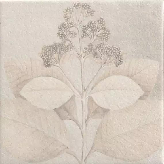 Soft Kamelia White 15x15