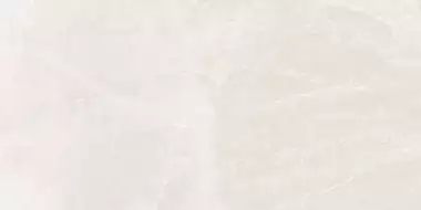 Soleste Bianco Rustic Carving 120x60