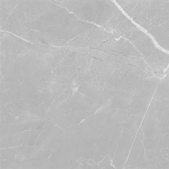 Spiderweb Silver Glossy 60x60