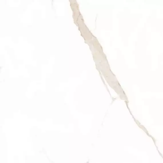 Statuario Gold 0001 40x40