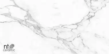 Statuario Infinity 120x60