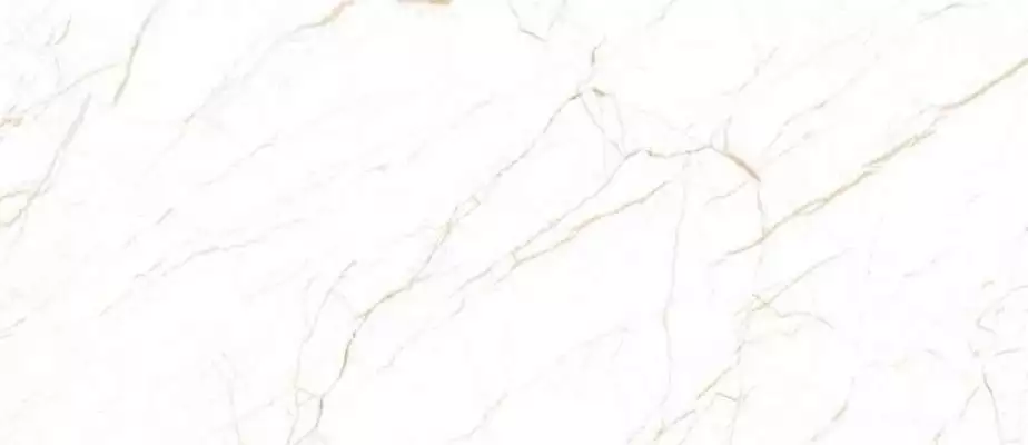 Statuario Oro White Polish 120х278