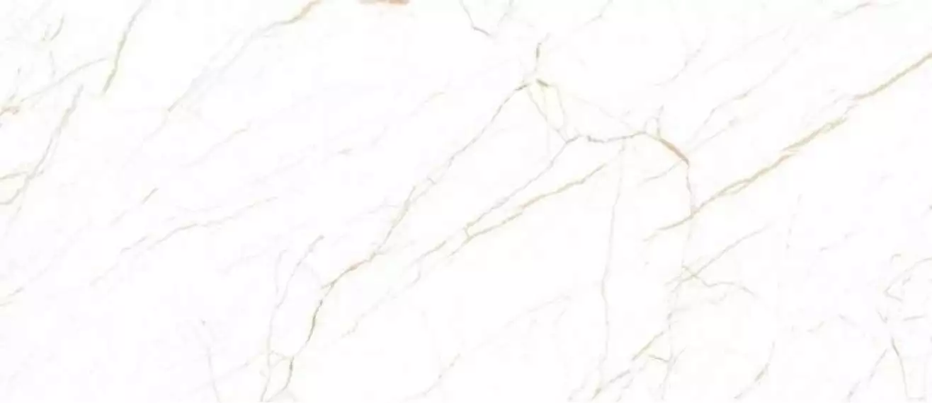 Statuario Oro White Polish 120х278